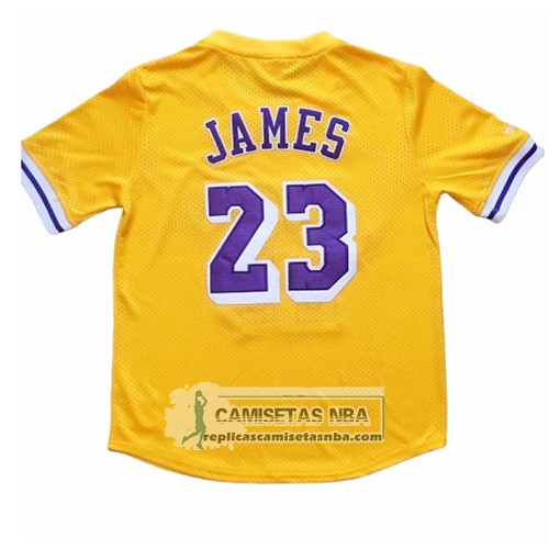 Camiseta Manga Corta Los Angeles Lakers Lebron James Amarillo
